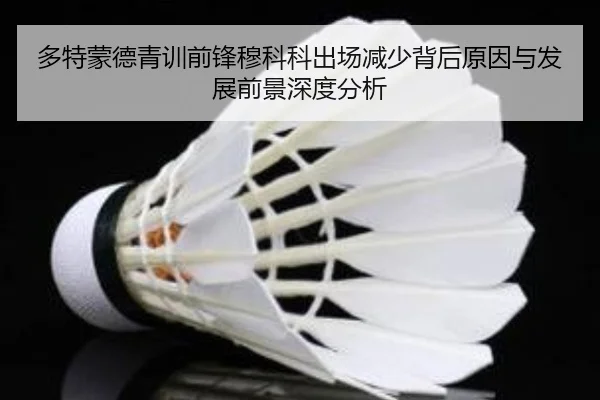 多特蒙德青训前锋穆科科出场减少背后原因与发展前景深度分析