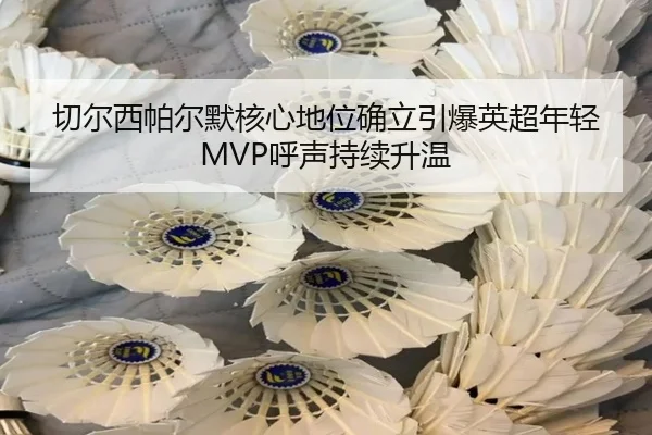 qie-er-xi-pa-er-mo-he-xin-di-wei-que-li-yin-bao-ying-chao-nian-qing-hu-sheng-chi-xu-sheng-wen-2-813.jpg