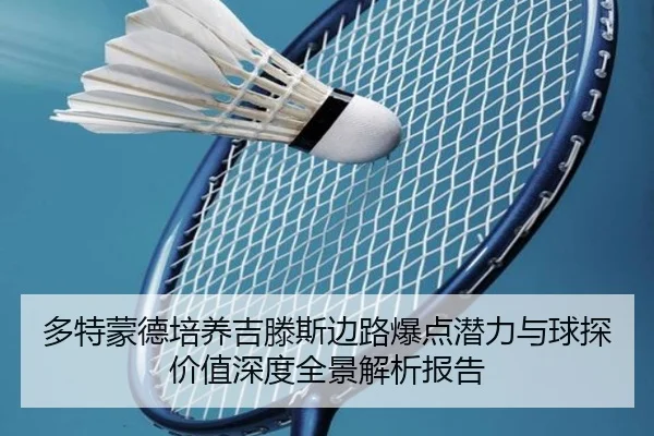 多特蒙德培养吉滕斯边路爆点潜力与球探价值深度全景解析报告