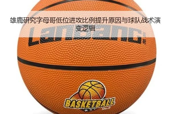img_1781803498438_1995_0_962.jpg