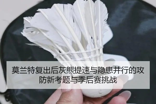 莫兰特复出后灰熊提速与隐患并行的攻防新考题与季后赛挑战